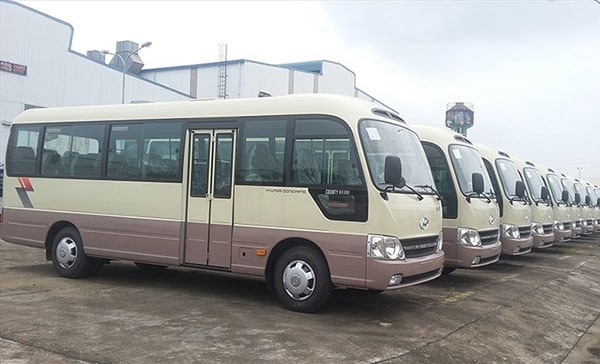 Bằng D lái xe gì? 