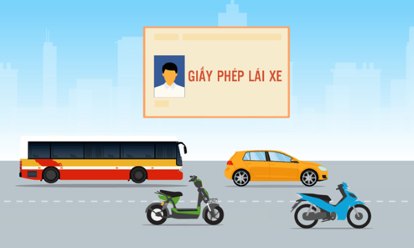 Hệ thống các loại bằng lái xe tại Việt Nam
