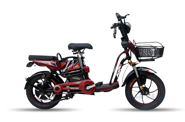 Xe Đạp Điện BMZ AZI